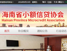 海南小額信貸協(xié)會(huì)